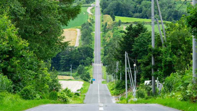 Sapporo Full-Day Furano & Biei Lavender Experience - The guide can make a busy day easier