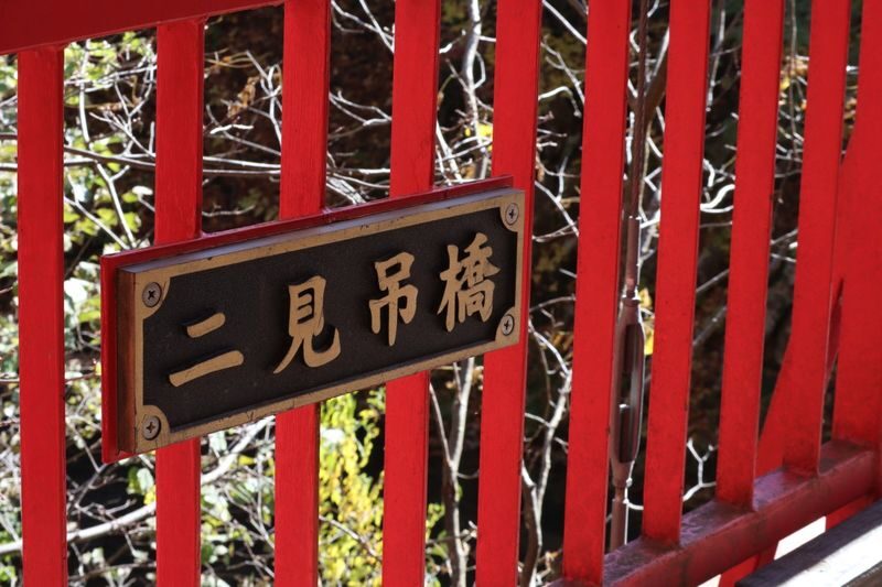 Sapporo Full-Day Mt. Moiwa Night View & Otaru Tour - Guides, group size and what the tour feels like