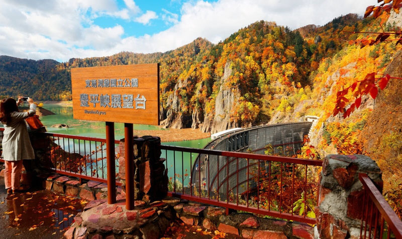 Sapporo, Furano, Toya Lake, Otaru Full-Day Private Tour - Is $15.80 good value?