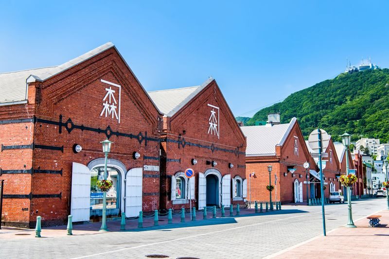 Sapporo Hakodate & Toyako 2-Day Cultural Tour - Is $198.65 good value?