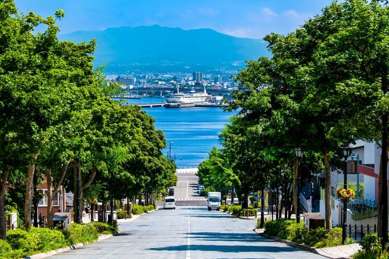 Sapporo Hakodate & Toyako 2-Day Cultural Tour - Should you book the Sapporo Hakodate and Toyako tour?