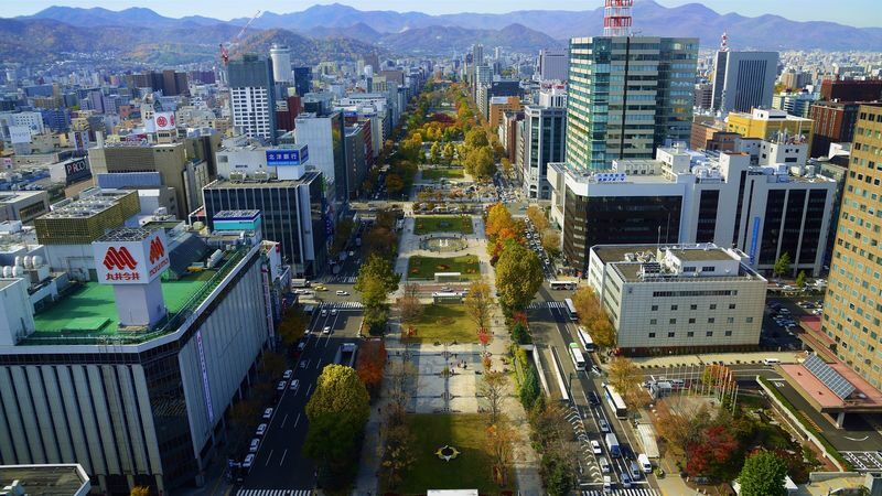 Sapporo Half-day Bus Tour and TV Tower Ticket (Multilingual Audio) - Is the price worth it?
