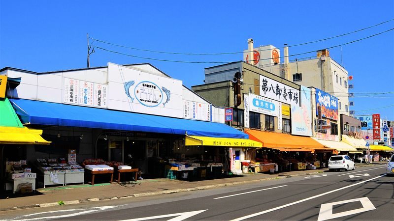 Sapporo Half-day Bus Tour and TV Tower Ticket (Multilingual Audio) - Who should book this Sapporo bus tour?