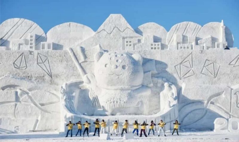 Sapporo: Heiwa-dori Ice Festival Private Day Tour - Why Choose This Tour?