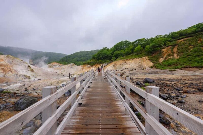 Sapporo: Hell Valley, Oyunuma and Dai-ichi Takimotokan Trip - Who Is This Tour Best Suited For?