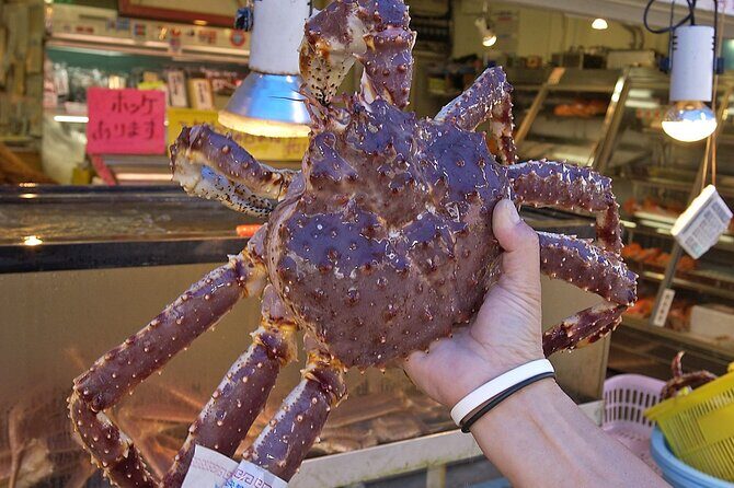 Sapporo Hidden Gems Walking Tour: Hokkaido Shrine, Mt.Moiwa, Cafe - Wrapping Up at Susukino Station