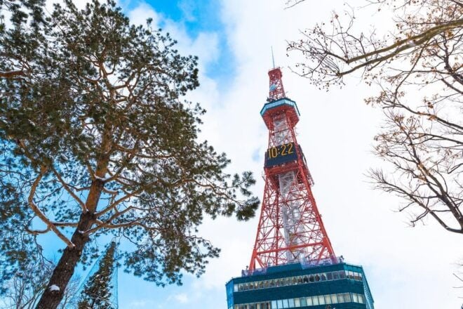 Sapporo Highlights: Art, Nature, and Architecture Tour - Mount Moiwa Observation Deck