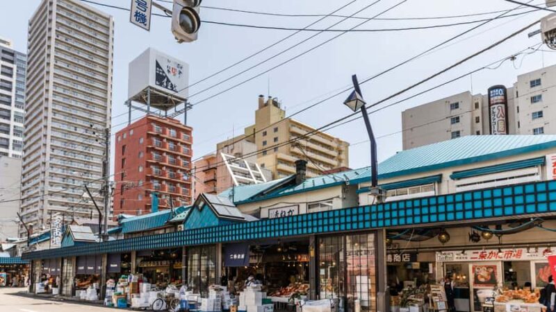 Sapporo: Highlights & Hidden Gems Private Tour with a Local - Practical Details and Considerations