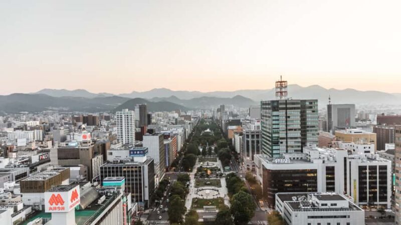 Sapporo: Highlights & Hidden Gems Private Tour with a Local - Transportation & Logistics