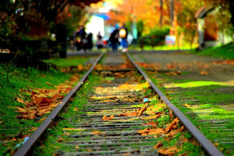 Sapporo Hill of the Buddha, Shrine & Otaru One-Day Tour - Otaru: time for food, shops and a wander