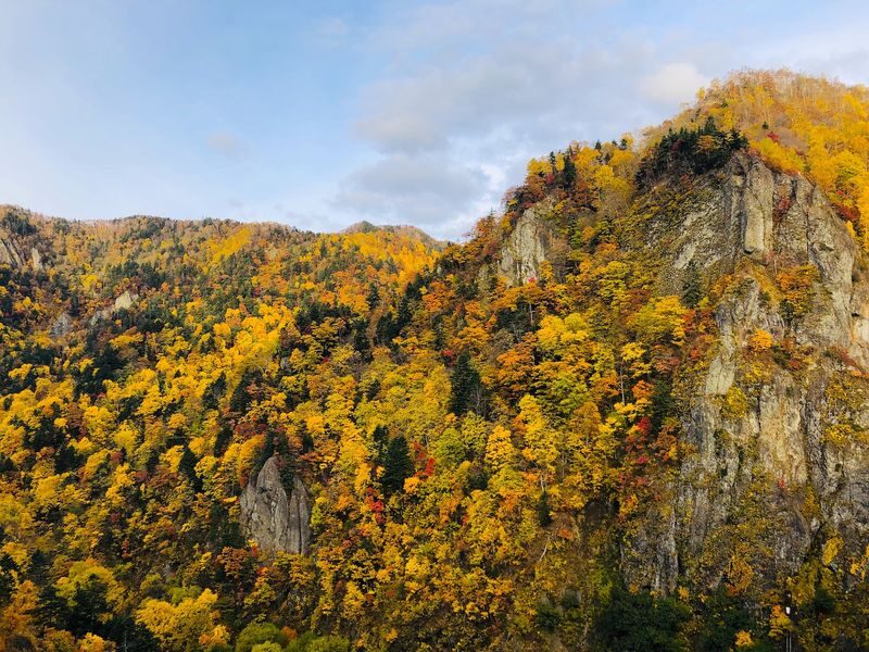 Sapporo Hill of the Buddha & Takino Autumn Cosmos & Mt. Hakkengenzan Genghis Khan BBQ & Jozankei Hoheikyo Autumn Leaves Day Trip - The highlights at a glance