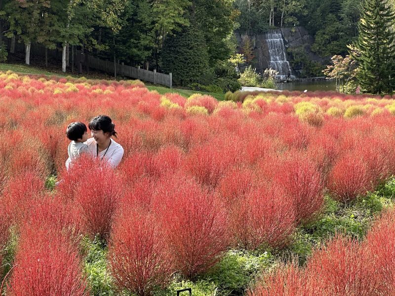 Sapporo Hill of the Buddha & Takino Autumn Cosmos & Mt. Hakkengenzan Genghis Khan BBQ & Jozankei Hoheikyo Autumn Leaves Day Trip - Genghis Khan barbecue in the countryside