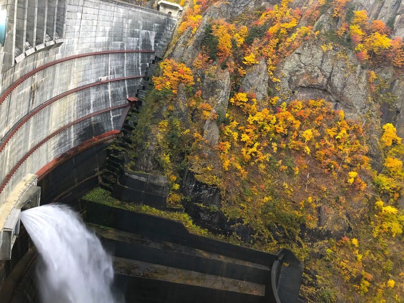 Sapporo Hill of the Buddha & Takino Autumn Cosmos & Mt. Hakkengenzan Genghis Khan BBQ & Jozankei Hoheikyo Autumn Leaves Day Trip - Who should book this Sapporo day trip?