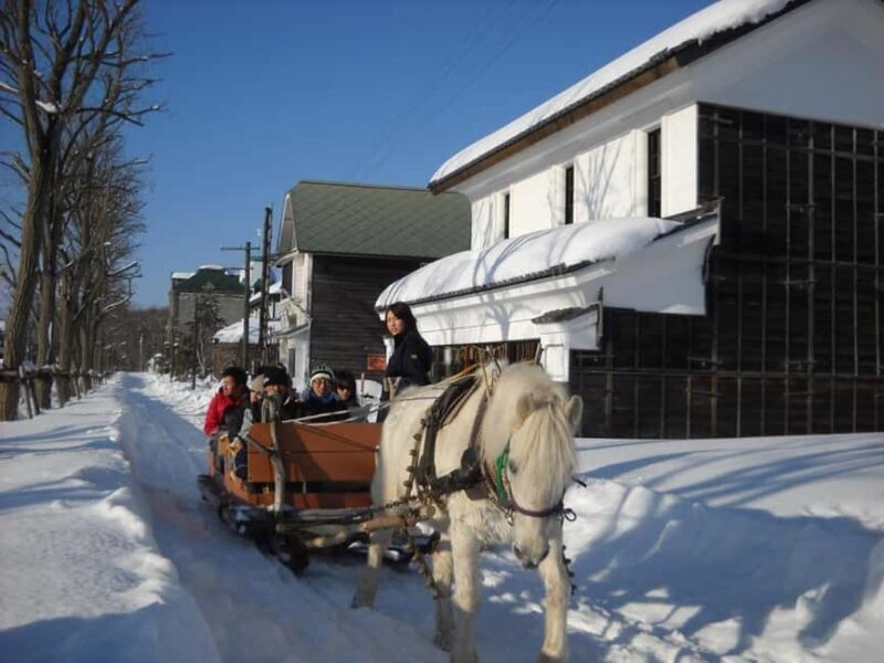 Sapporo: Historical Village of Hokkaido Entry Ticket - Practical Tips for Visiting