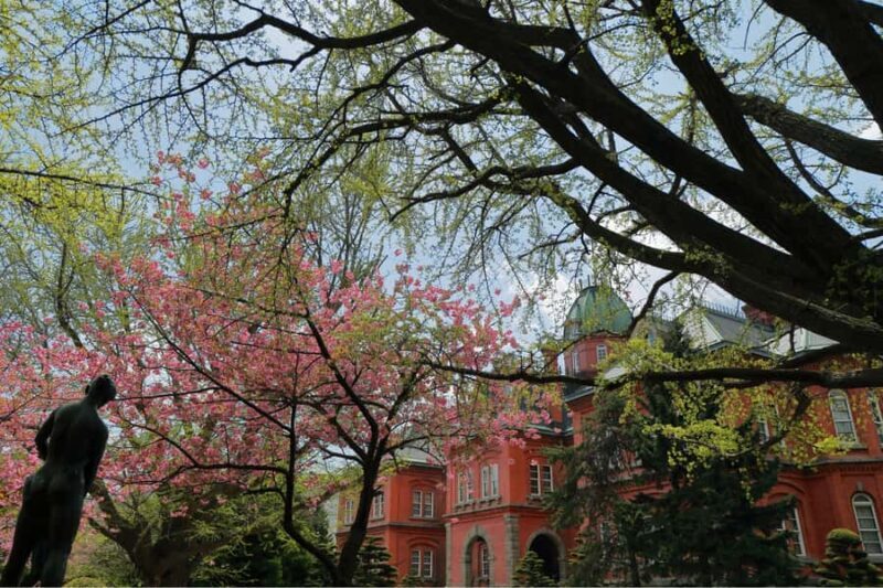 Sapporo History and Gourmet Walking Tour - What Makes This Tour Stand Out