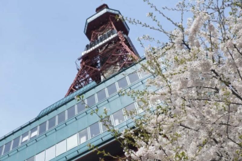 Sapporo History and Gourmet Walking Tour - Who Is This Tour Best For?