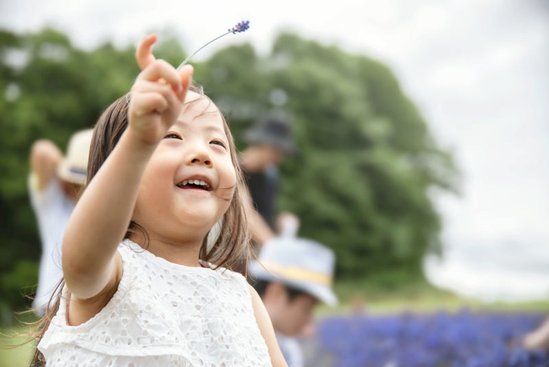 Sapporo Hitsujigaoka Observation Hill - Is Hitsujigaoka right for your Sapporo trip?