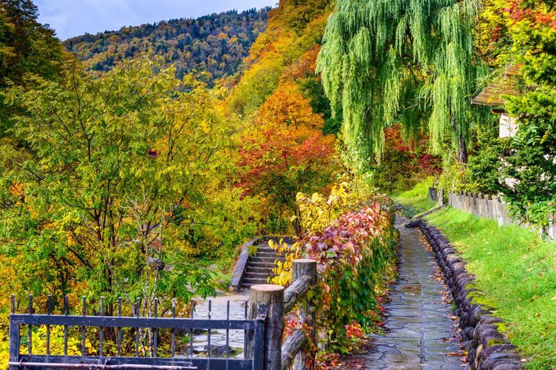 Sapporo Hoheikyo Dam, Jozankei, & Lake Shikotsu Full-Day Tour with Yamasen Bridge - Jozankei’s slower pleasures