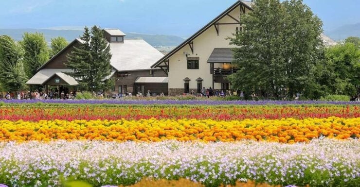 Sapporo: Hokkaido Biei Aoike and Furano Flower Sea Day Trip - Itinerary Highlights
