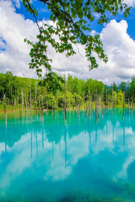 Sapporo: Hokkaido Biei Aoike and Furano Flower Sea Day Trip - Attractions and Experiences