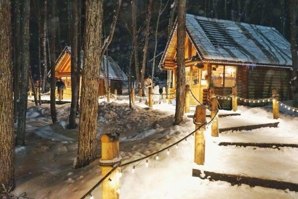 Sapporo: Hokkaido Biei Aoike and Furano Flower Sea Day Trip - Nearby Attractions to Explore