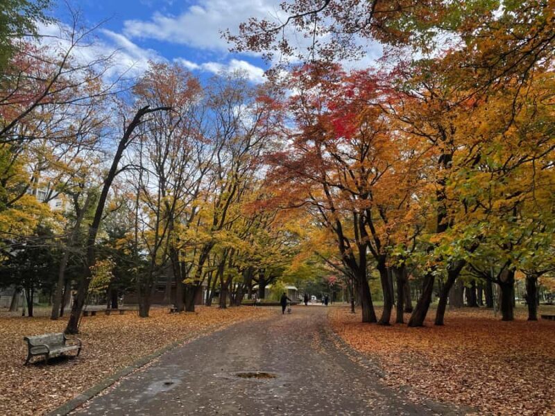 Sapporo: Hokkaido Shrine Tour with Rituals, History & Sweets - Who It’s Best For