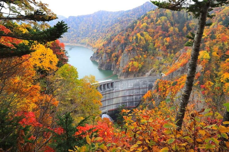 Sapporo in Autumn: Hoheikyo Dam and Hoheikyo Onsen Tour - Exploring the Tour Itinerary