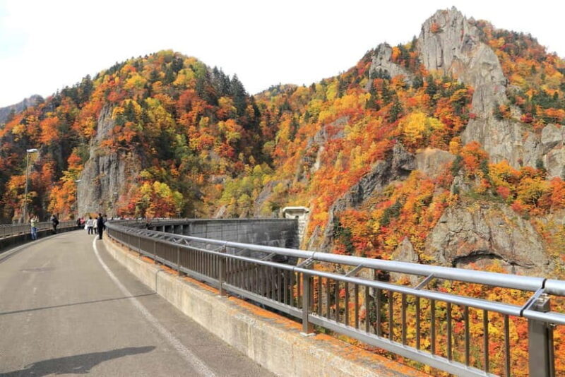 Sapporo in Autumn: Hoheikyo Dam and Hoheikyo Onsen Tour - FAQ