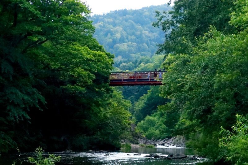 Sapporo Jozankei & Head Buddha One-Day Tour with Cultural Immersion - Is the price good value?
