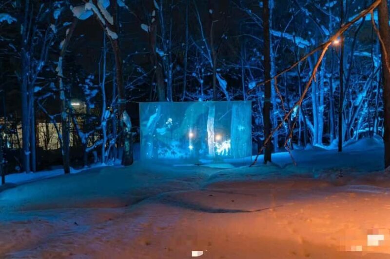 Sapporo: Jozankei Snow Lantern Path Trip-Private group - Non-Festival Day Variations