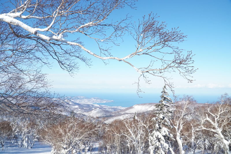 Sapporo Kokusai Ski Resort Lift Ticket (6hours) & Round Trip Bus - Powder and a long operating season