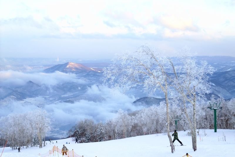 Sapporo Kokusai Ski Resort Ski & Snowboard Lesson - What the coaching can look like