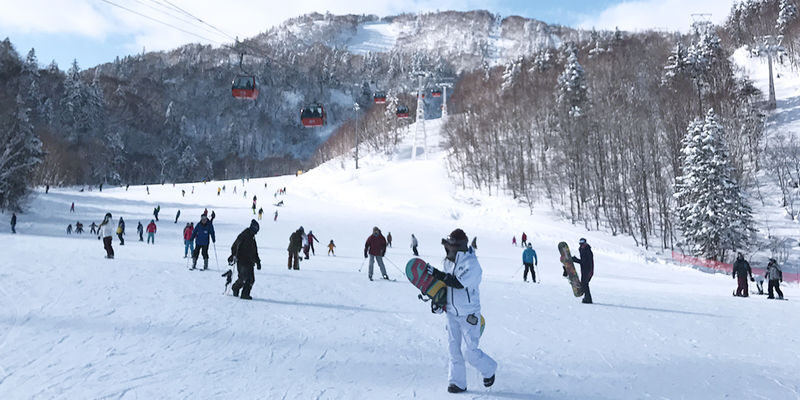 Sapporo Kokusai Ski Resort Skiing/Snow Fun Day Trip from Sapporo - The strengths, and the trade-offs