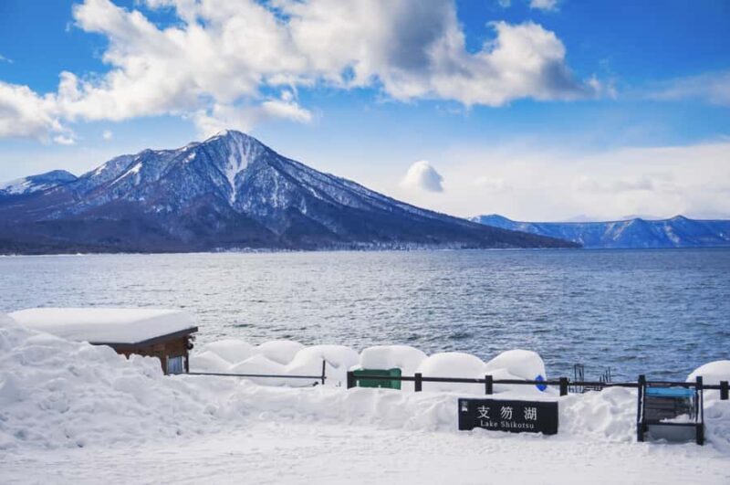 Sapporo: Lake Shikotsu Ice Festival Small-Group Day Tour - An In-Depth Look at the Experience