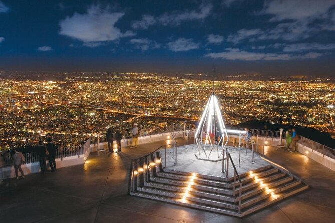 [Sapporo] Lets Go to Mt. Moiwa & Sapporo Night View by Chartered Car! ! - Additional Info