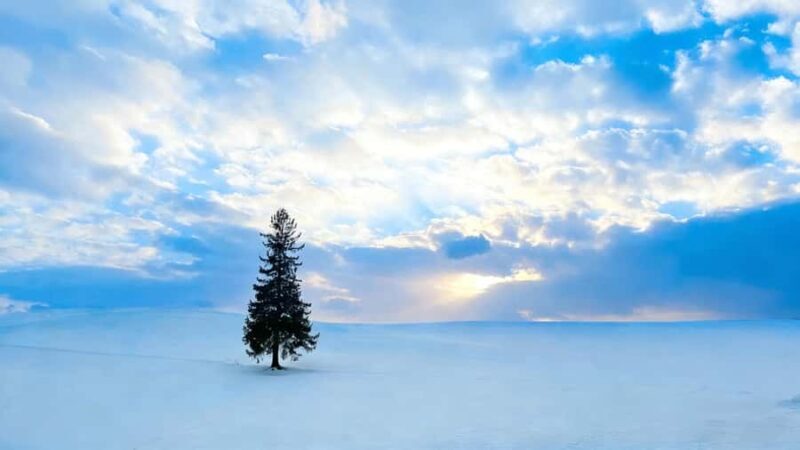 Sapporo Limited: Hokkaido Winter Blue Pond Illumination Tour - Good To Know