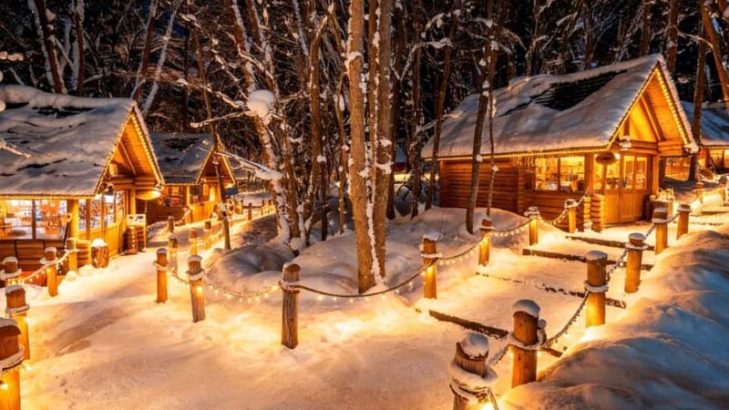 Sapporo Limited: Hokkaido Winter Blue Pond Illumination Tour - Starting the Journey: Flexible Meeting Points and Transportation