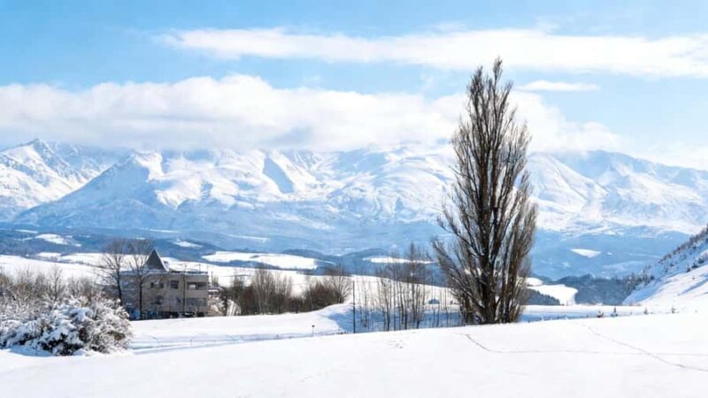 Sapporo Limited: Hokkaido Winter Blue Pond Illumination Tour - Shikisai no Oka: The Vast, Snowy Hill
