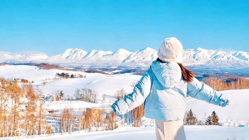 Sapporo Limited: Hokkaido Winter Blue Pond Illumination Tour - Return Journey and Final Impressions