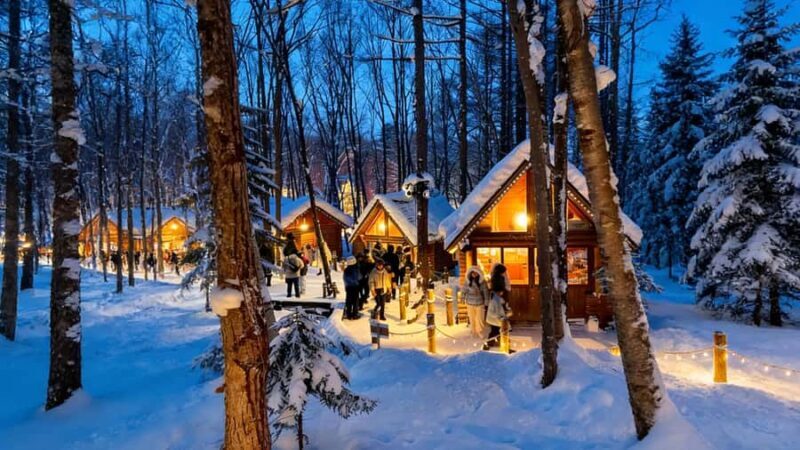 Sapporo Limited: Hokkaido Winter Blue Pond Illumination Tour - Things to Consider