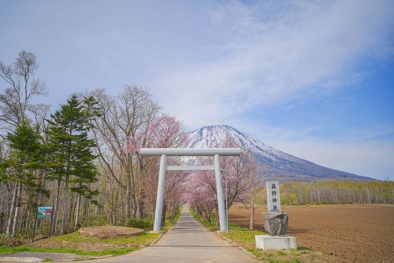 Sapporo Mount Yotei & Lake Toya Full-Day Experience with Scenic Views - Should you book this Hokkaido day trip?