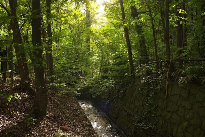 Sapporo: Mt. Maruyama Hike & Okurayama Ski Jump - Good To Know