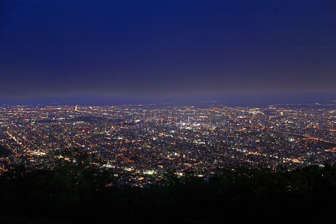 Sapporo Mt. Moiwa & Asahiyama Memorial Park Night View Trip - Pickup and Meeting Information