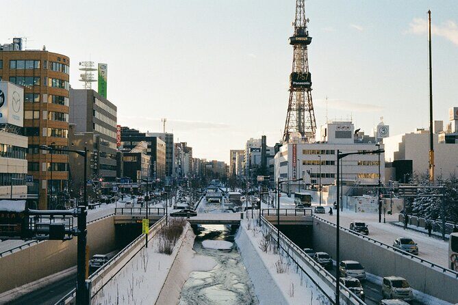 Sapporo  New Chitose Airport Private Transfer | Licensed Driver - Practical Considerations & Tips