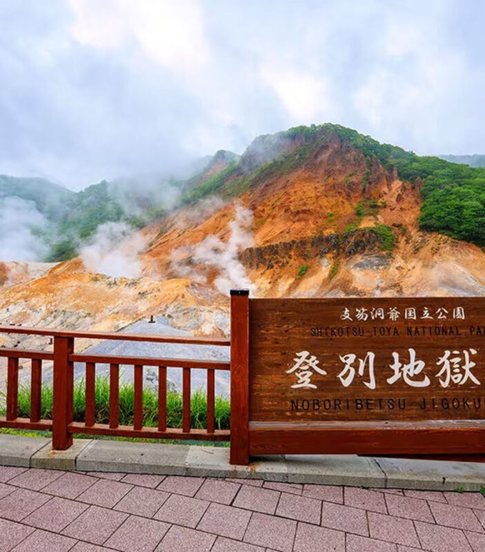 Sapporo Noboribetsu Hell Valley and Lake Shikotsu Ice Falls Festival Tour - Snowmobiling: the day’s liveliest option