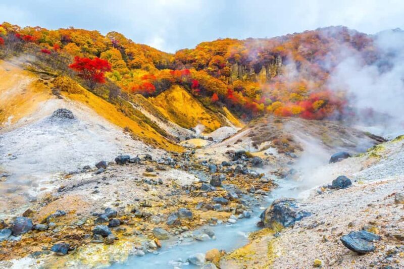 Sapporo: Noboribetsu Hell Valley, Lake Toya & Bear Farm Tour - Who Will Love This Tour?