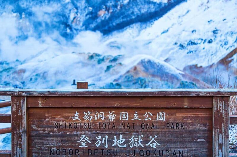 Sapporo: Noboribetsu Hell Valley, Lake Toya & Bear Farm Tour - The Sum Up