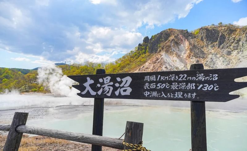 Sapporo Noboribetsu & Otaru Full-Day Sightseeing Tour - Lake Toya and Showa Shinzan: a scenic pause