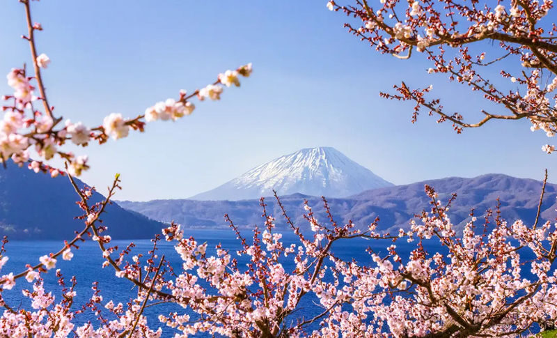 Sapporo Noboribetsu & Otaru Full-Day Sightseeing Tour - Who should book this Sapporo day trip?