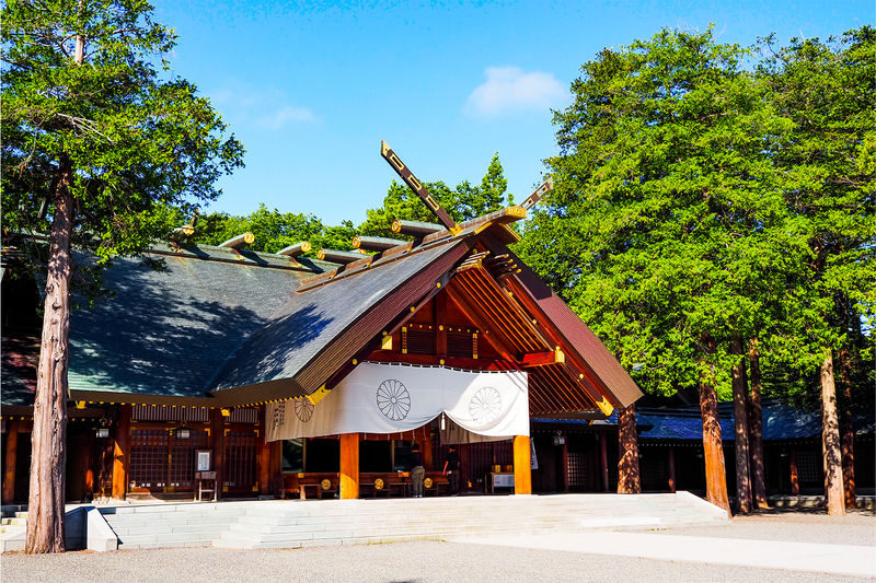 Sapporo One-Day Private Tour - A day built around contrasts
